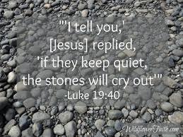 The stones will cry out! - Timothy Seeley